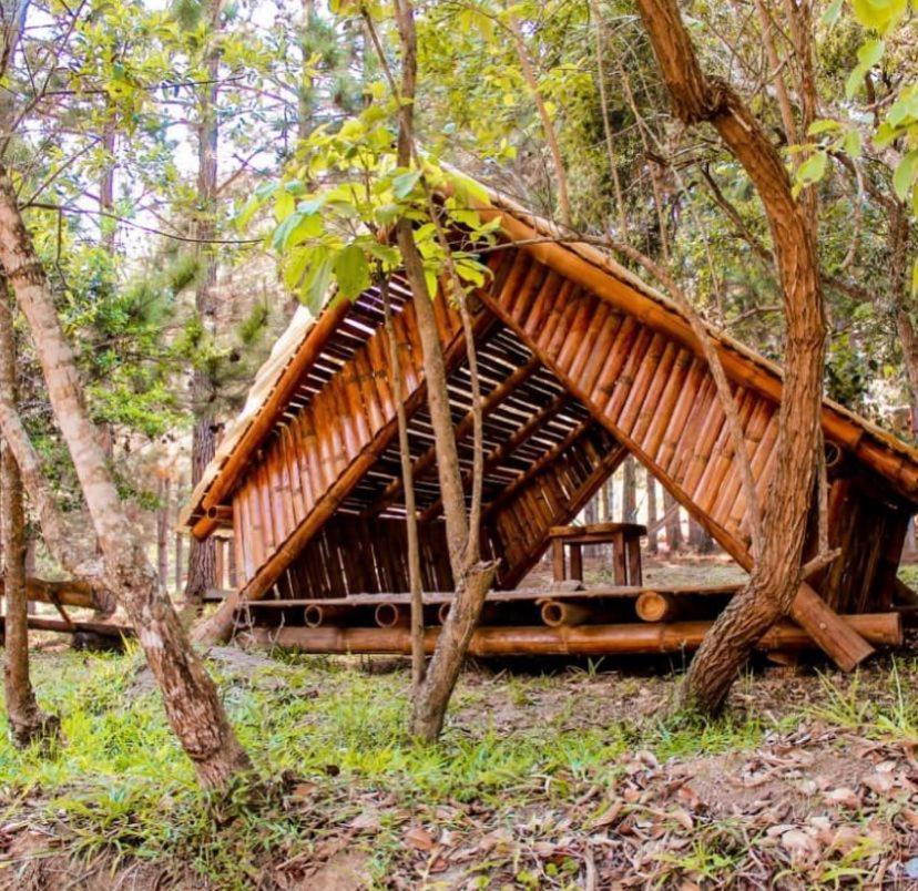 Chales Sitio Do Tanque Conceicao da Ibitipoca Ngoại thất bức ảnh