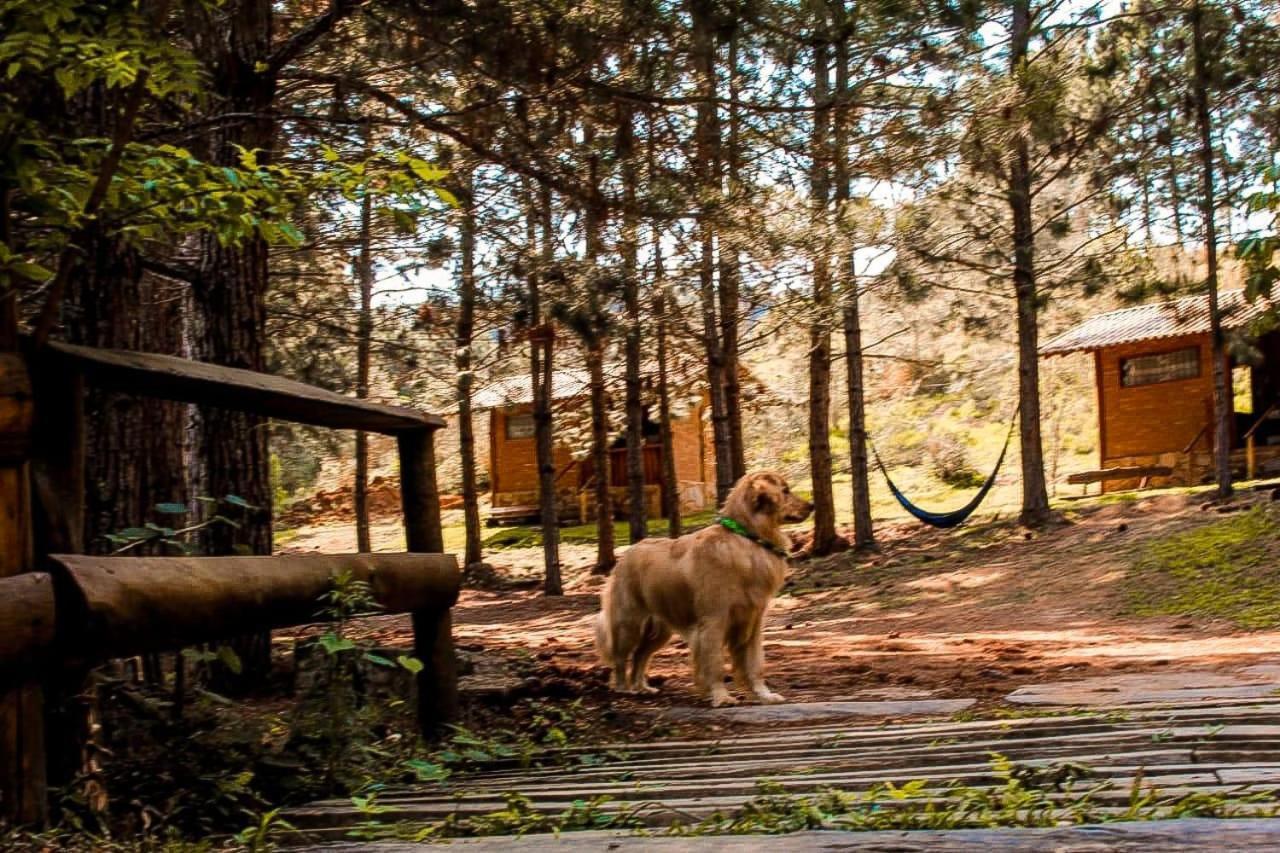 Chales Sitio Do Tanque Conceicao da Ibitipoca Ngoại thất bức ảnh